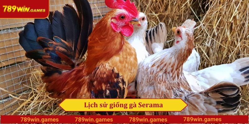 Lịch sử giống gà Serama